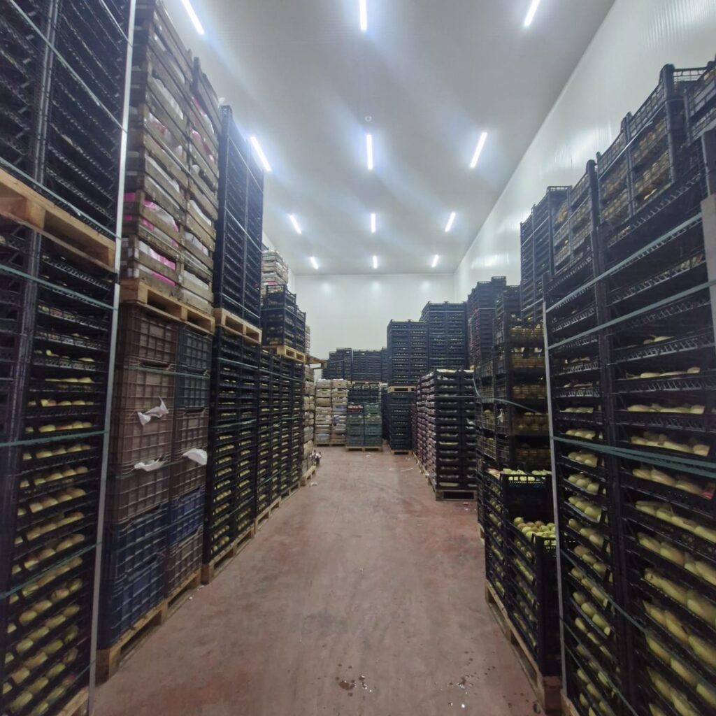 WhatsApp Image 2025-05-09 at 13.55.55